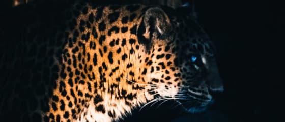 Yggdrasil partneri ReelPlay puštaju Jaguar SuperWays iz Bad Dinga