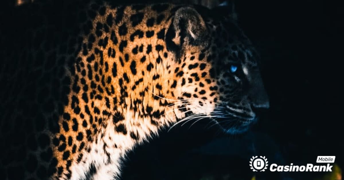 Yggdrasil partneri ReelPlay puÅ¡taju Jaguar SuperWays iz Bad Dinga
